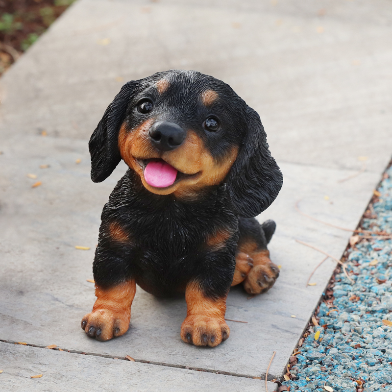 お座りにっこり ダックスフンド　ブラック