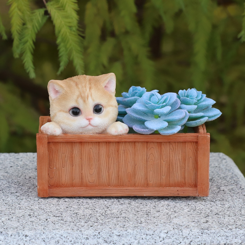 木箱に隠れる子猫 プランター