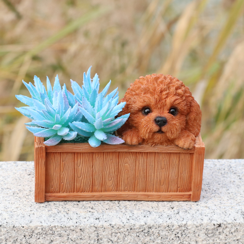 木箱に隠れる トイプードル　レッド プランター