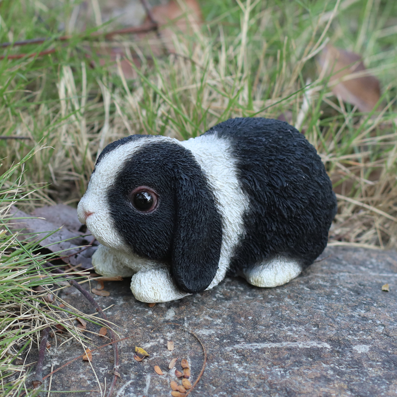 イングリッシュ ロップ・イヤー 黒白（小）