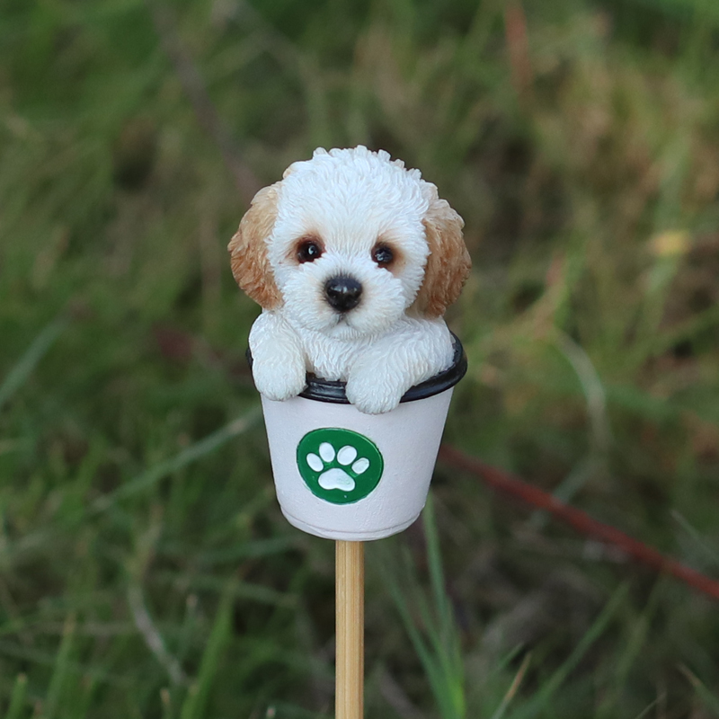 コーヒーカップスパニエル  シロガーデンピック