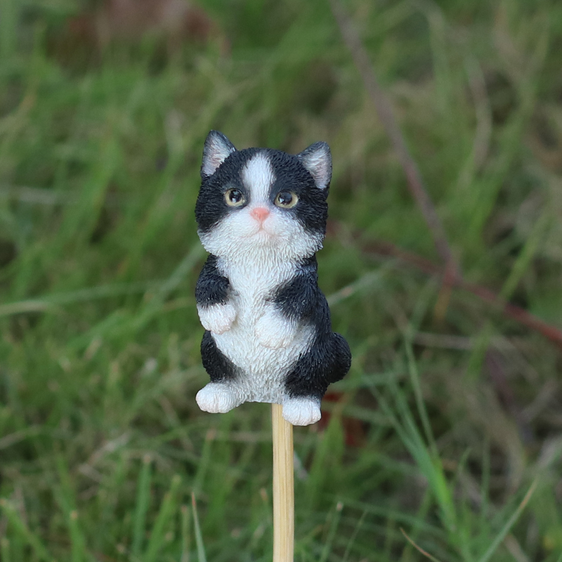 スタンディングハチワレ黒白猫ガーデンピック