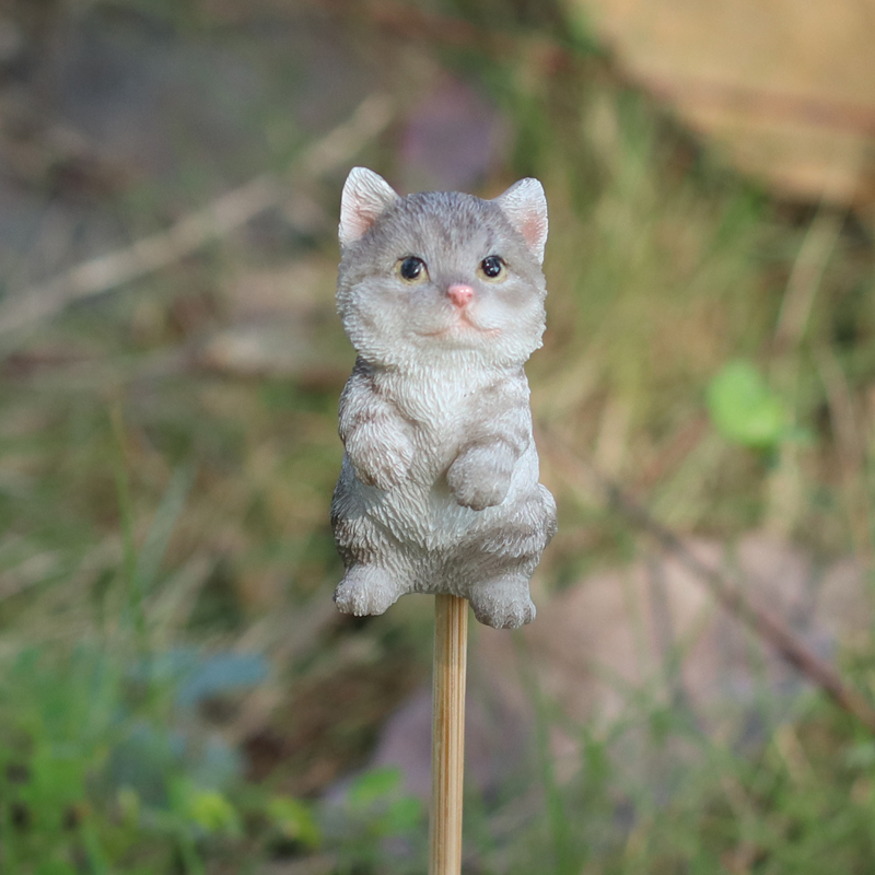 スタンディングサバトラ白猫ガーデンピック