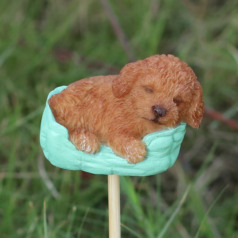 おやすみトイプードル　レッドガーデンピック