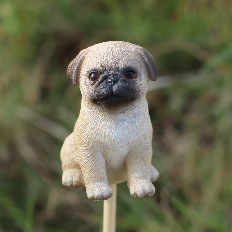 パグガーデンピック