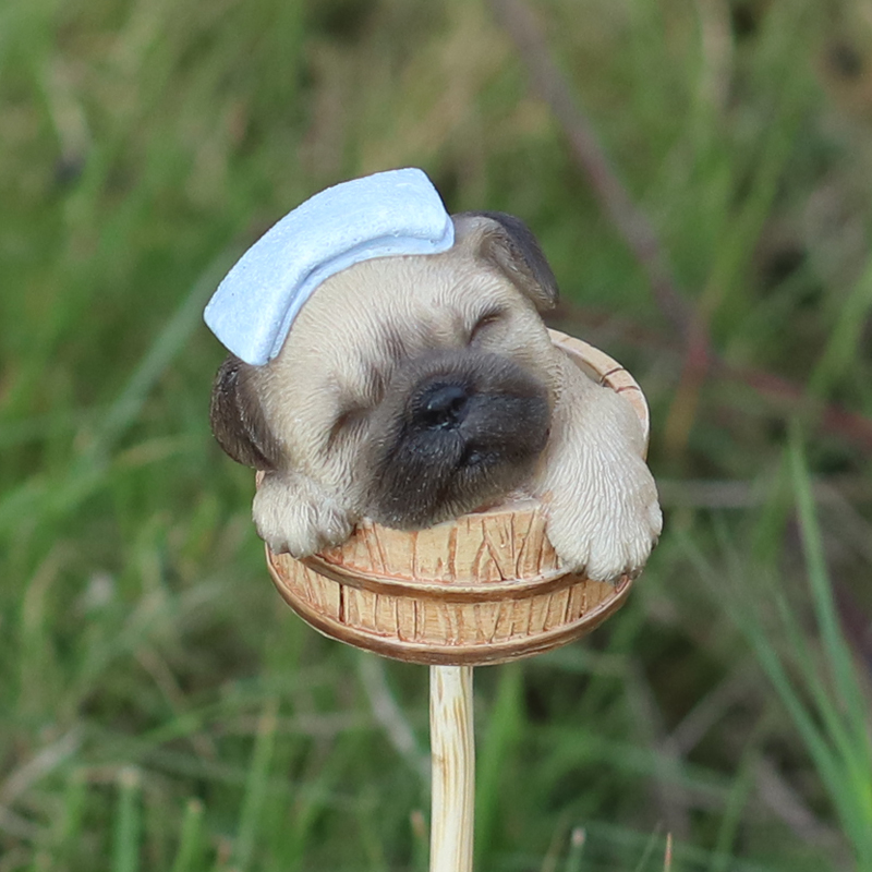 湯桶でくつろぐパグガーデンピック