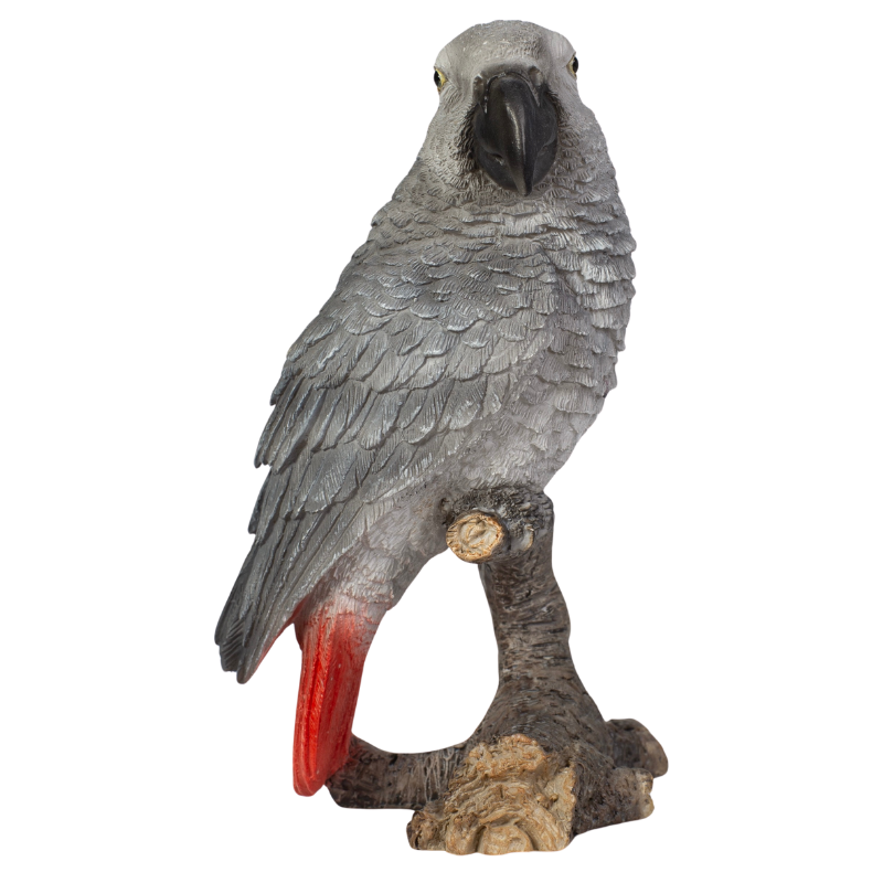 ミニインコ グレー