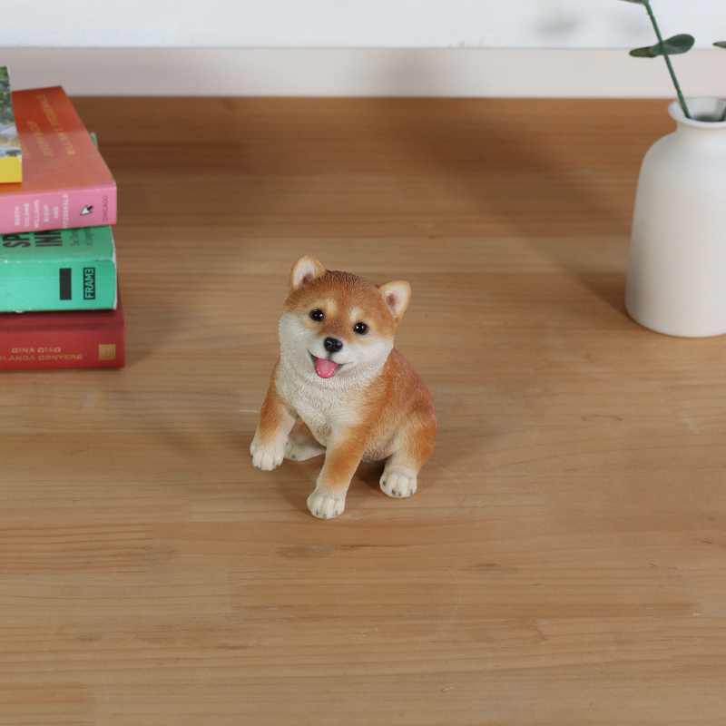 見上げるお座り柴犬