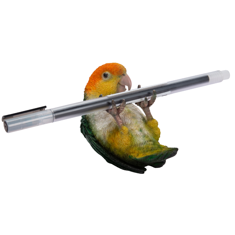 ボタンインコ ペンホルダー