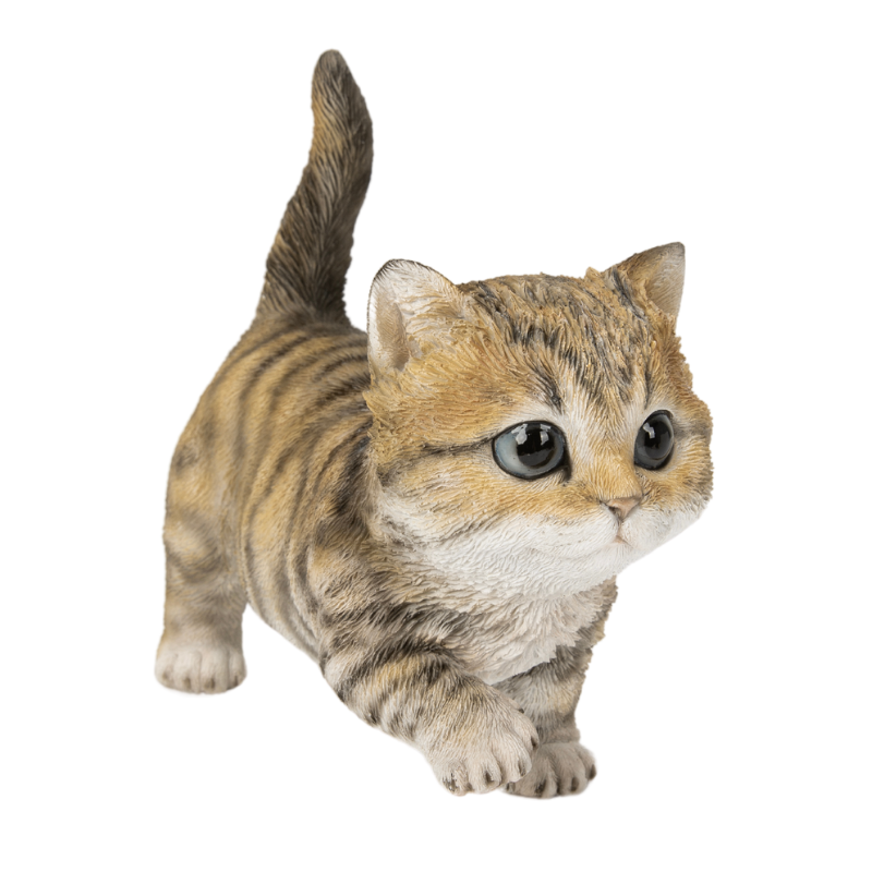 歩きだすトラ猫