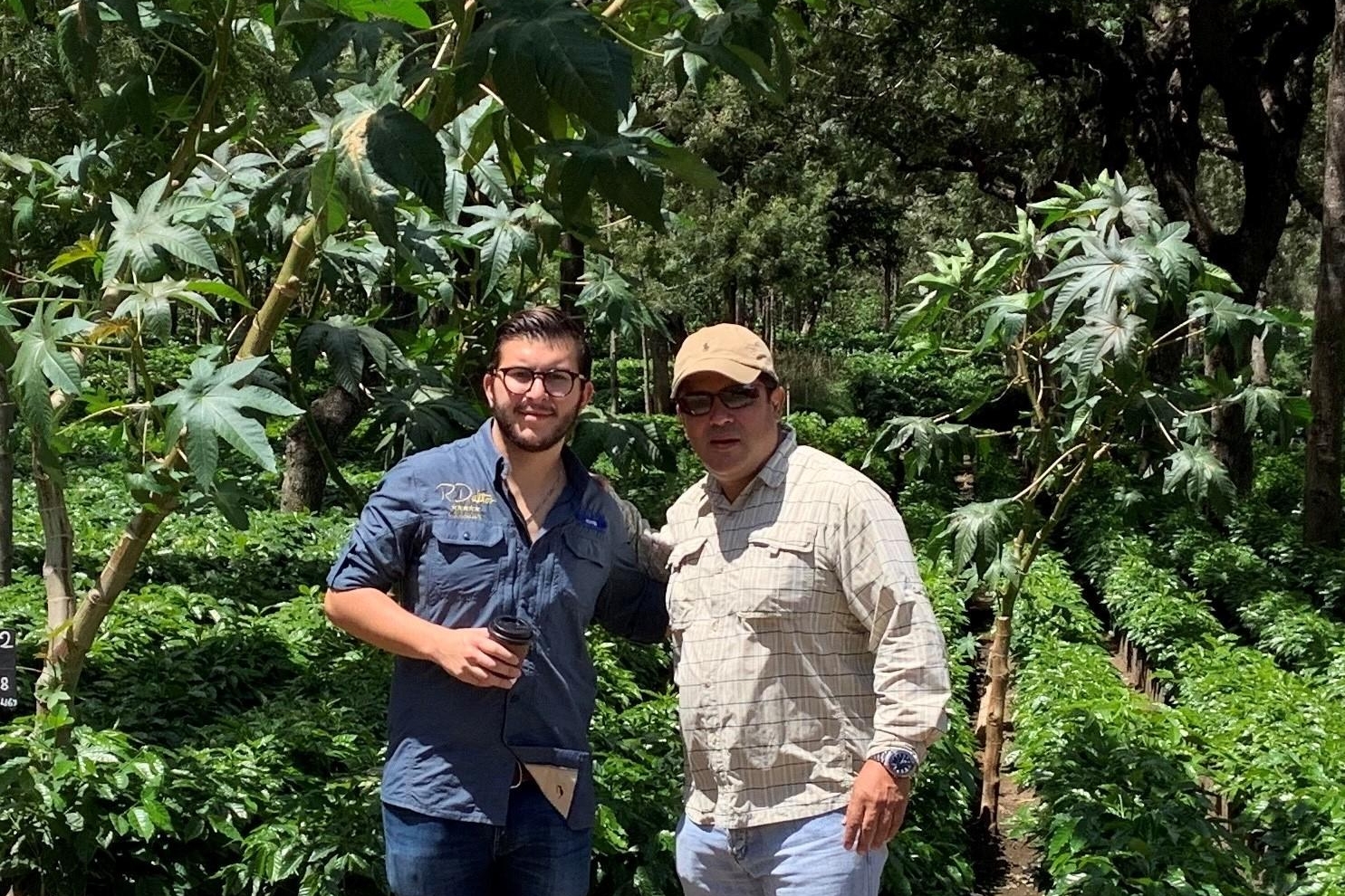 グアテマラ クプラ