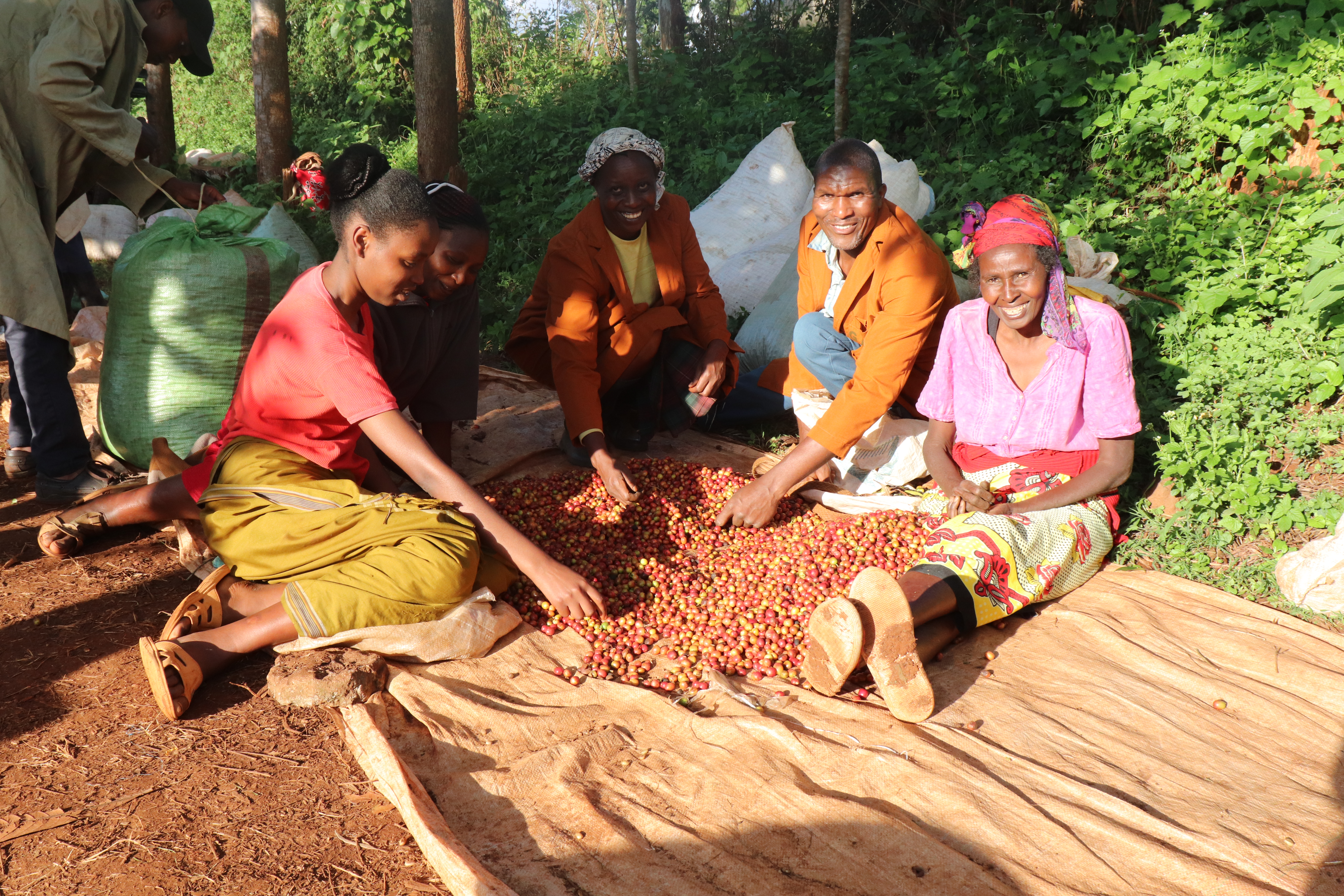 ケニア ガダイディ