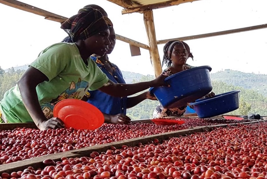 ルワンダ シーラ