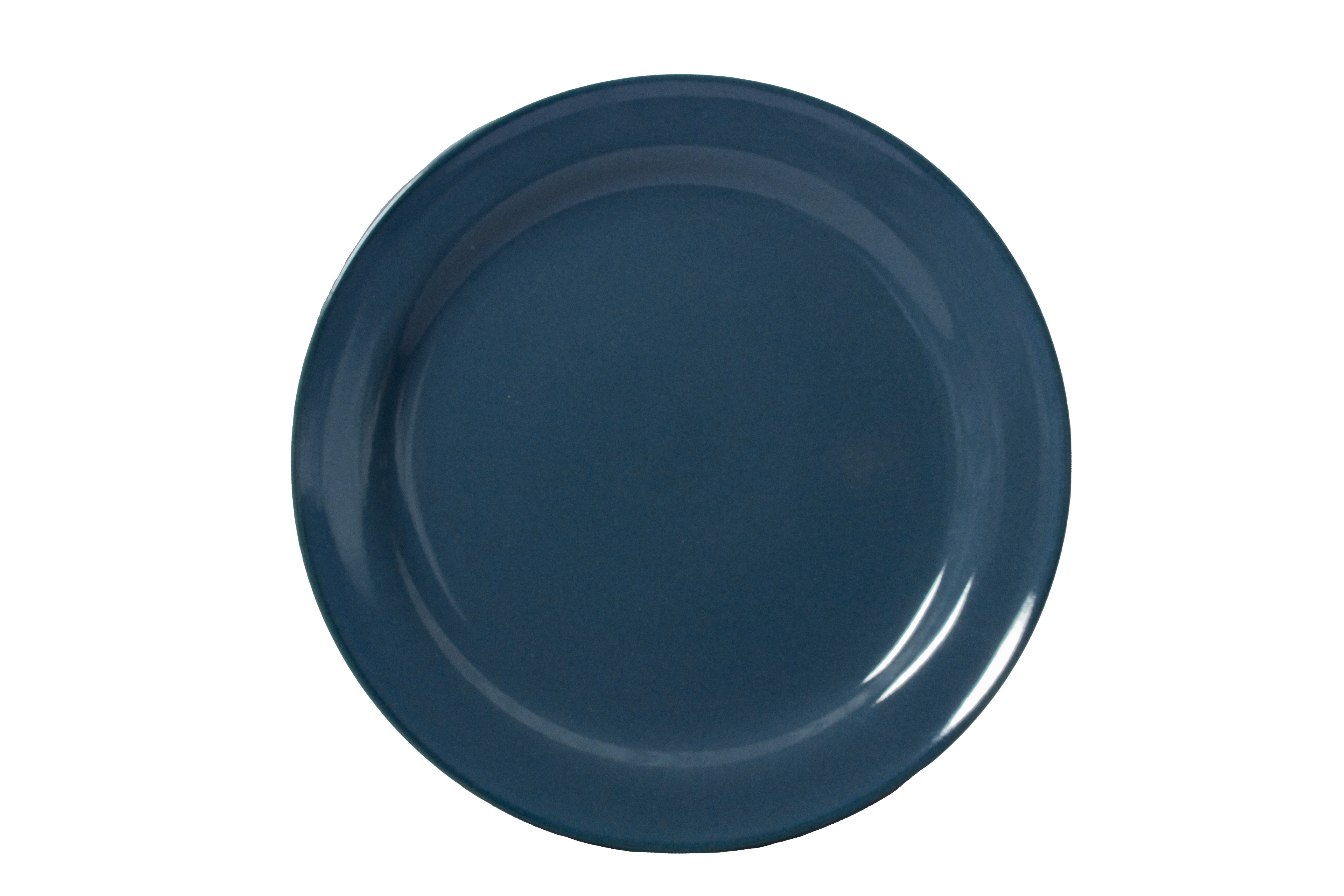 【TONE】27㎝ディナー皿（ブルー）【NB700】 NB702-7002