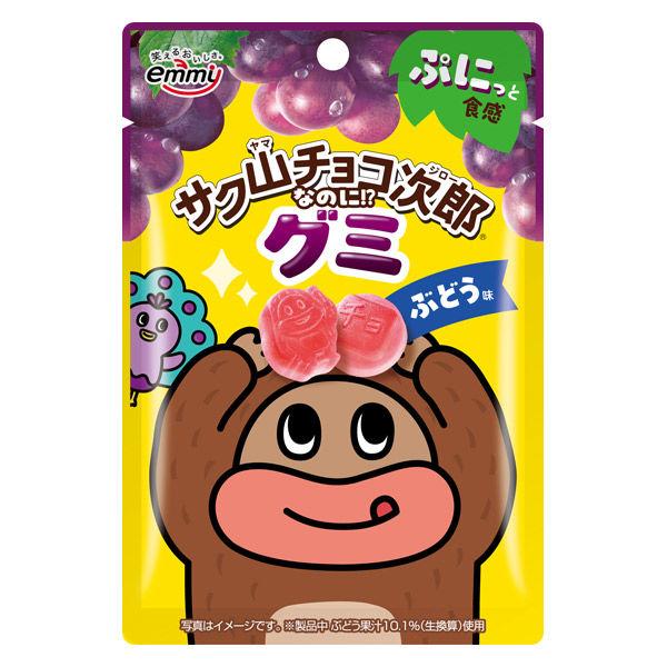 正栄食品工業  サク山チョコ次郎グミ ぶどう味  ４７ｇ  賞味期限2027.1.17