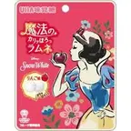 味覚糖　魔法カリっとほろラムネりんご味30ｇ　賞味期限2025.12.31