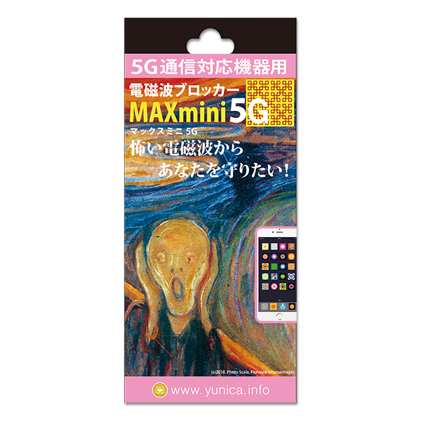 MAX mini 5G