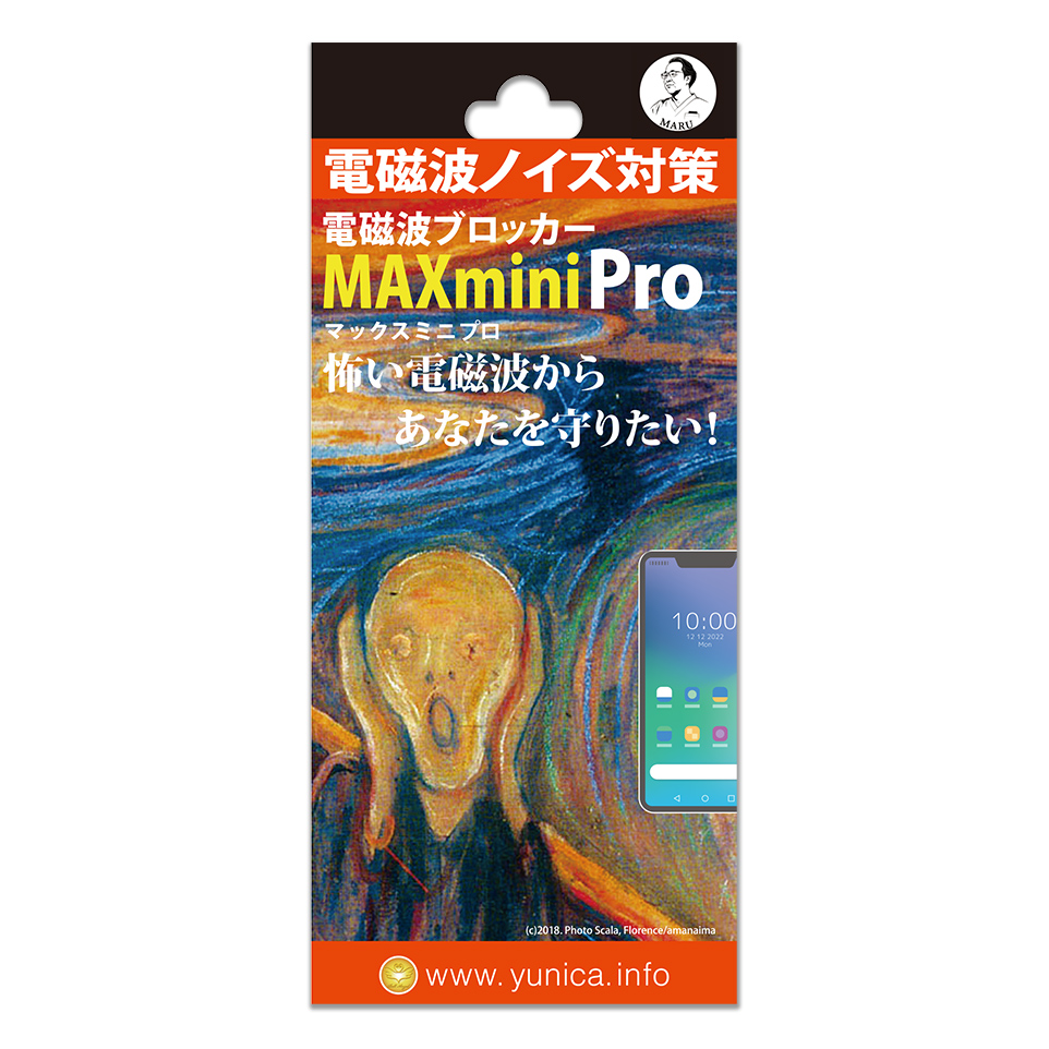 MAX mini Pro